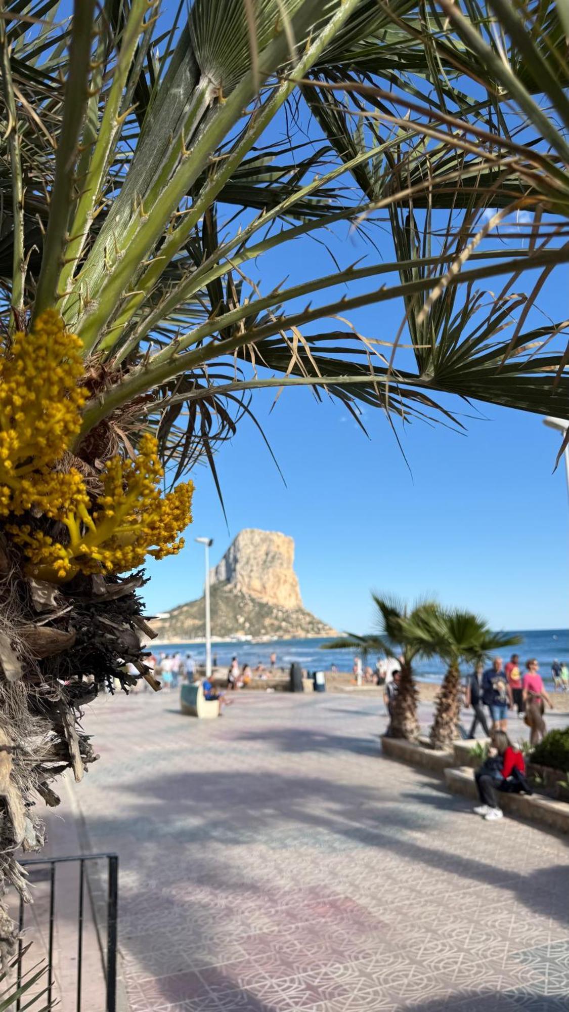 Esmeralda Sunrise Con Piscina Apartment Calpe
